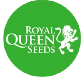 royal queen seeds auto